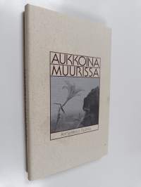 Aukkoina muurissa
