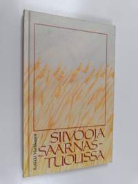 Siivooja saarnastuolissa (signeerattu)