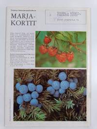 Suomen luonto 4/1979