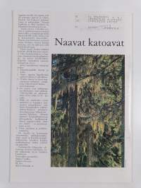 Suomen luonto 2/1980