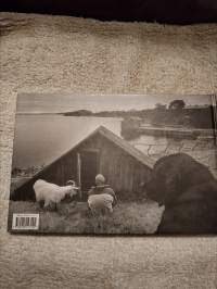 Veli Veikko Pikinokka, Elämää Laatokan laidalla v. 2005