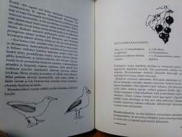 Metsän marjat - 47 Suomen marjakasvia