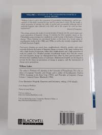 Principles of linguistic change, Vol. 2 - Social factors