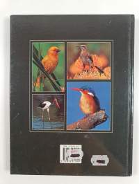 Everyone&#039;s Guide to South African Birds