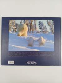 Little Polar Bears