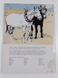 The illustrated horse