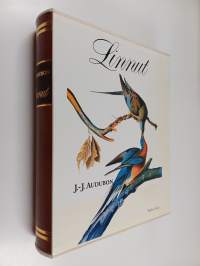 Linnut (numeroitu)