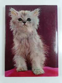 The world of Cats