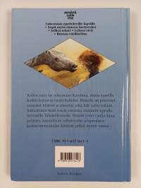 Keskiyönratsastaja
