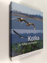 Kotka ja tuhat joutsenta : Äyräpään lintuparatiisi