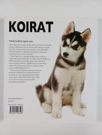 Koirat : löydä itsellesi sopiva rotu