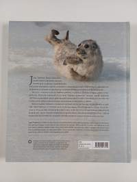 Jää hyvin, saimaannorppa