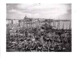 Signe Brander 1869-1942 : Helsingin valokuvaaja = Helsingfors fotograf