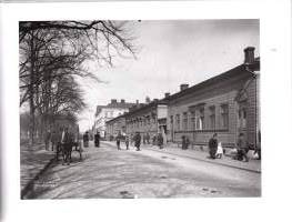 Signe Brander 1869-1942 : Helsingin valokuvaaja = Helsingfors fotograf