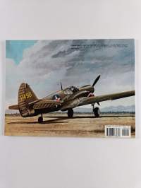 Walk Around P-40 Warhawk