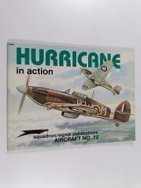 Hurricane in action