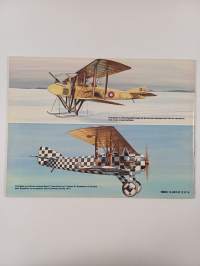 Spad Fighters in Action