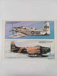 AD Skyraider in Action