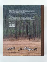 Metsäpeura : rangifer tarandus fennicus
