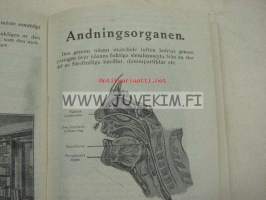 Prosten Heumanns Läkemedel