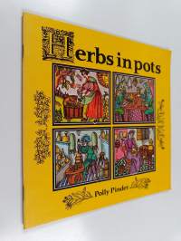 Herbs in Pots