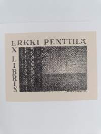 Sissi-isku Petrovski Jamiin