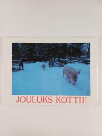 Hus sika mehtää, jouluks kottii!