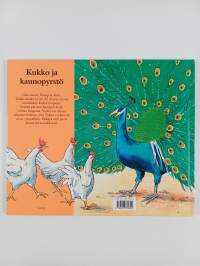 Kukko ja kaunopyrstö
