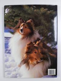 Dogs