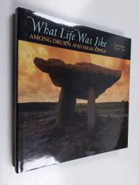 What Life Was Like among Druids and High Kings : Celtic Ireland AD 400-1200