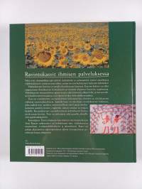 Auringonkukasta viiniköynnökseen : ravintokasvit