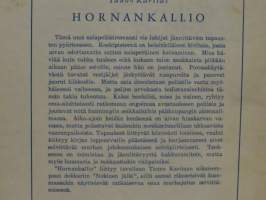 Hornankallio - Salapoliisiromaani
