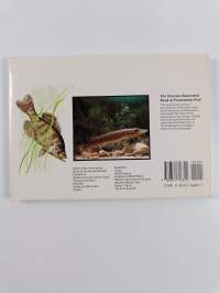 Concise Illustrated Book of Fresh Water Fish