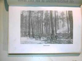 Suomalaiset Amerikassa 1899