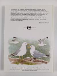 Suuri lintukirja