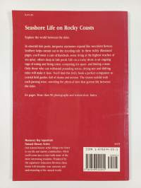 Seashore Life on Rocky Coasts