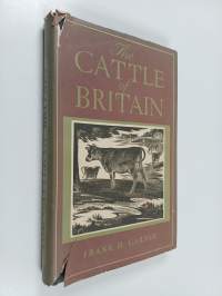 The cattle of Britain