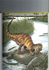 Dinosaurierna-så levde de. / Tom McGroven.  P.1992.Si.vut täynnä asiaa. Hyvä kuvitus isoin koko sivun värikuvin  ja pikkutarkoin pienin kuvin