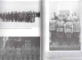 Kapina Jokilaaksossa 1918