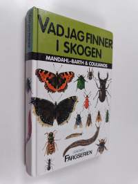 Vad jag finner i skogen