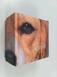 Koirat