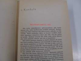 Unkarilainen rapsodia - Romaani Franz Lisztin elämästä