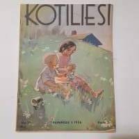 Kotiliesi 13 heinäkuu 1 1936 kansi Martta Wendelin niityn kukkia