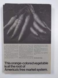 Foreign Affairs Summer 1981 : Vol 59 No 5
