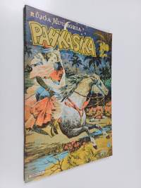 Pahkasika 1/80