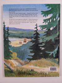 Barnens svenska historia 2 : Se där, en stad!