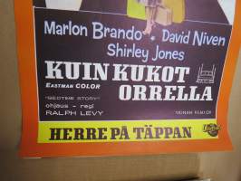 Kuin kukot orrella / Herre på täppan, pääosissa Marlon Brando, David Niven, Shirley Jones -elokuvajuliste / movie poster