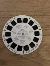 View-Master - 985 - C - Desert Wild Flowers - Kuvakiekko