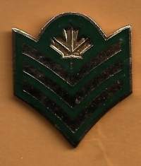 Canadian Forces rank badge - Sergeant -  pinssi  rintamerkki