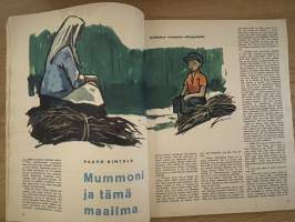 Apu 1961 nr 47 - Sis. Kirje lukijalle, Heikki Brotherus: Rein - Euroopan valtasuoni, ym.
